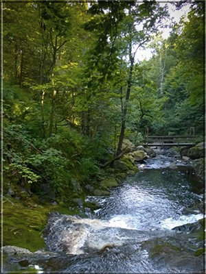 Het pittoreske riviertje de Hoëgne, samen met de Ninglinspo de mooiste riviertjes van de Ardennen.